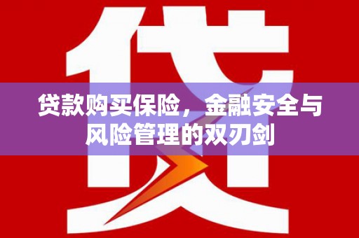 盐津贷款购买保险，金融安全与风险管理的双刃剑