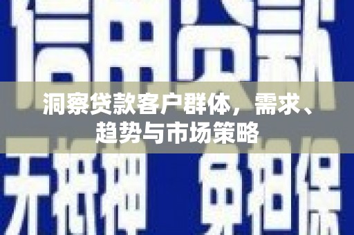 盐津洞察贷款客户群体，需求、趋势与市场策略