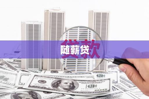 盐津随薪贷