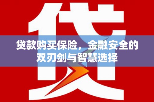 盐津贷款购买保险，金融安全的双刃剑与智慧选择