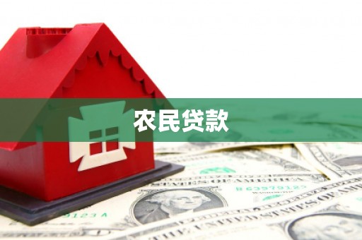 盐津农民贷款