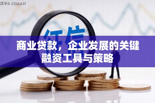 盐津商业贷款，企业发展的关键融资工具与策略