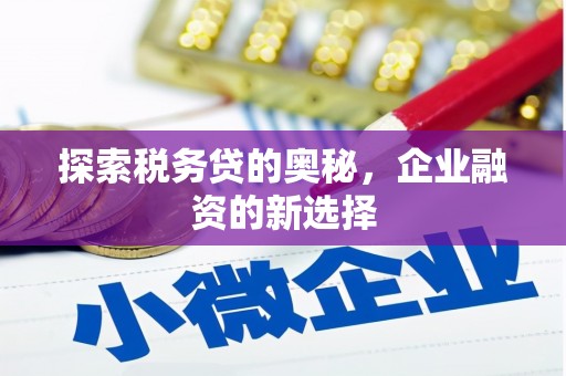 盐津探索税务贷的奥秘，企业融资的新选择