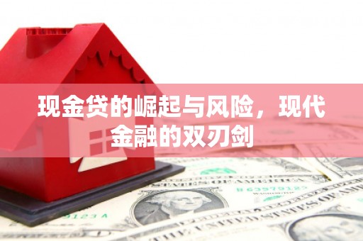 盐津现金贷的崛起与风险，现代金融的双刃剑