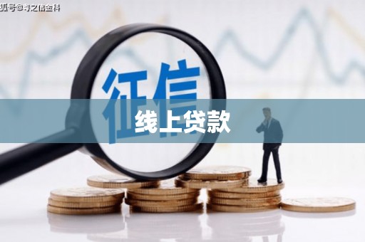 盐津线上贷款
