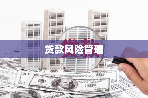 盐津贷款风险管理