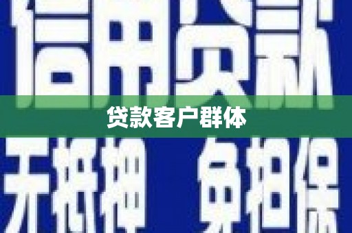 盐津贷款客户群体