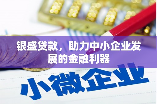 盐津银盛贷款，助力中小企业发展的金融利器