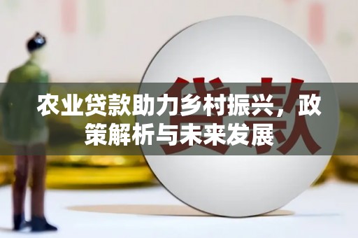 盐津农业贷款助力乡村振兴，政策解析与未来发展