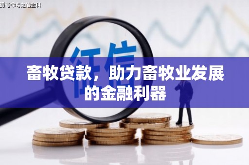 盐津畜牧贷款，助力畜牧业发展的金融利器