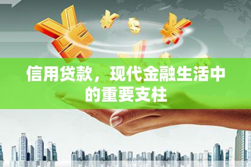 盐津信用贷款，现代金融生活中的重要支柱