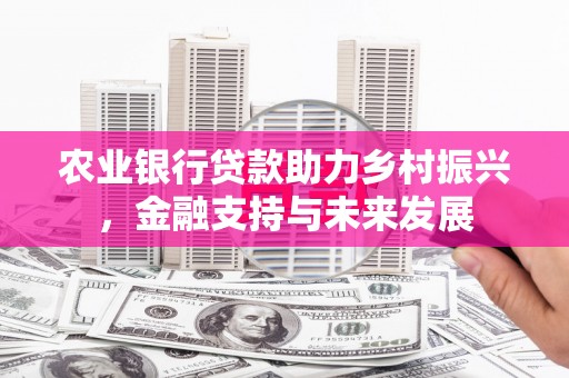 盐津农业银行贷款助力乡村振兴，金融支持与未来发展