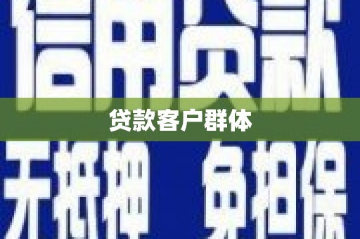 盐津贷款客户群体