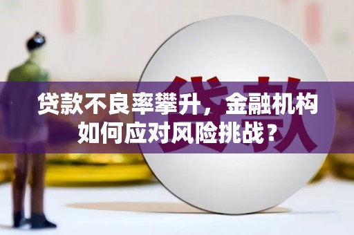 盐津贷款不良率攀升，金融机构如何应对风险挑战？