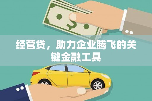 盐津经营贷，助力企业腾飞的关键金融工具