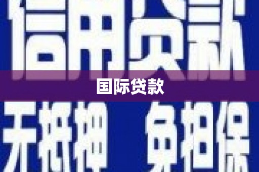 盐津国际贷款