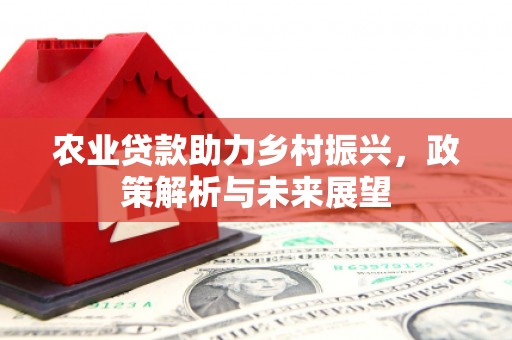 盐津农业贷款助力乡村振兴，政策解析与未来展望