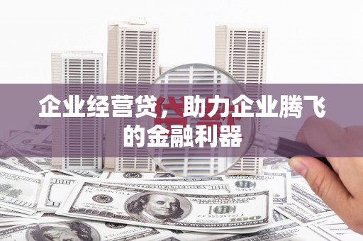 盐津企业经营贷，助力企业腾飞的金融利器