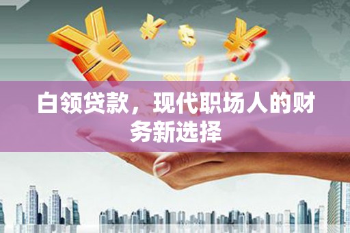 盐津白领贷款，现代职场人的财务新选择