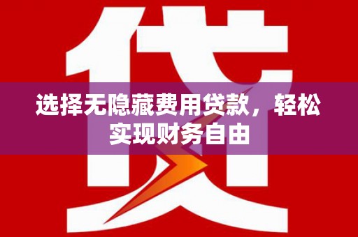 盐津选择无隐藏费用贷款，轻松实现财务自由
