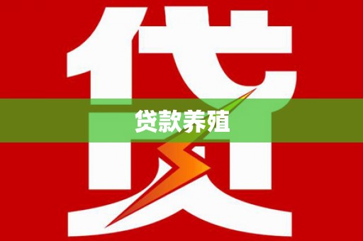 盐津贷款养殖
