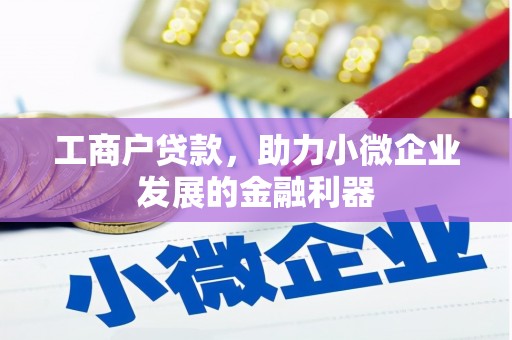 盐津工商户贷款，助力小微企业发展的金融利器
