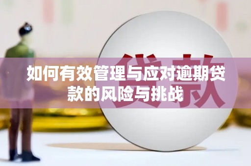 盐津如何有效管理与应对逾期贷款的风险与挑战