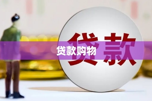盐津贷款购物