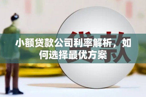 盐津小额贷款公司利率解析，如何选择最优方案