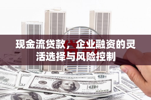 盐津现金流贷款，企业融资的灵活选择与风险控制