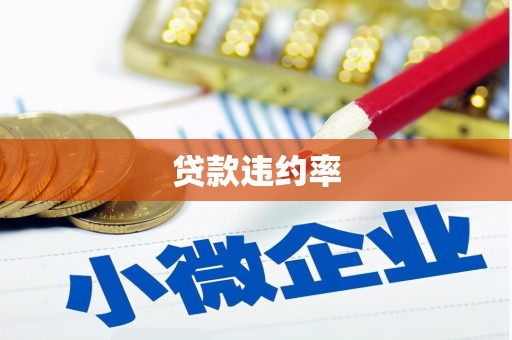 盐津贷款违约率