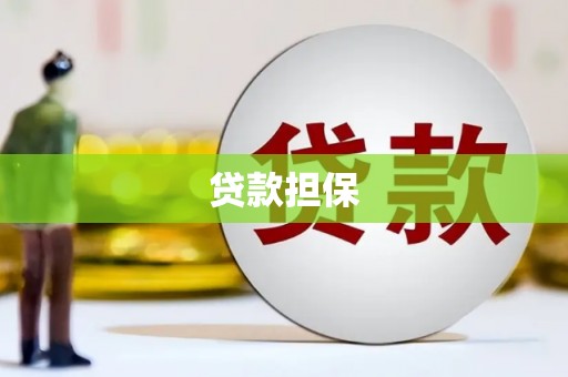 盐津贷款担保