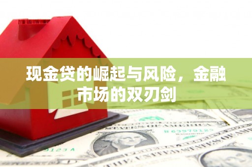 盐津现金贷的崛起与风险，金融市场的双刃剑