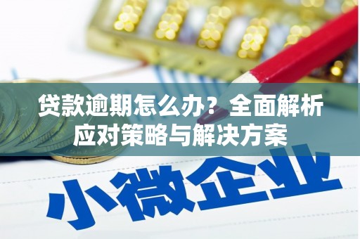 盐津贷款逾期怎么办？全面解析应对策略与解决方案
