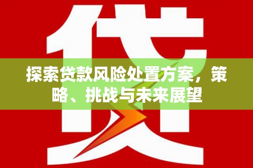 盐津探索贷款风险处置方案，策略、挑战与未来展望