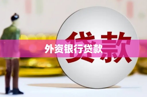 盐津外资银行贷款