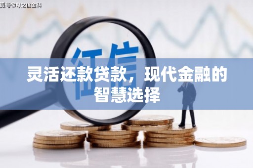 盐津灵活还款贷款，现代金融的智慧选择