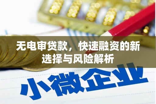 盐津无电审贷款，快速融资的新选择与风险解析