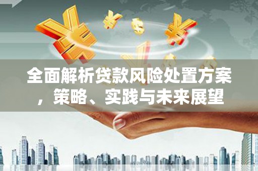 盐津全面解析贷款风险处置方案，策略、实践与未来展望