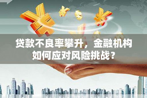 盐津贷款不良率攀升，金融机构如何应对风险挑战？