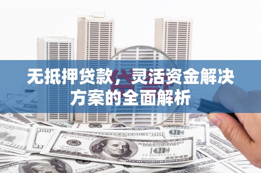 盐津无抵押贷款，灵活资金解决方案的全面解析
