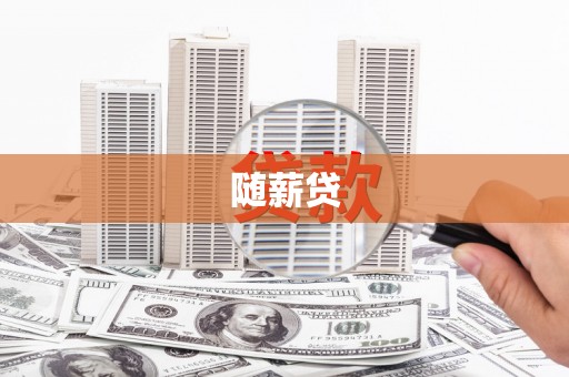 盐津随薪贷