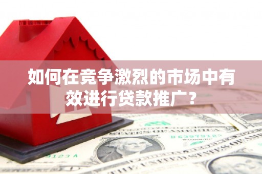 盐津如何在竞争激烈的市场中有效进行贷款推广？