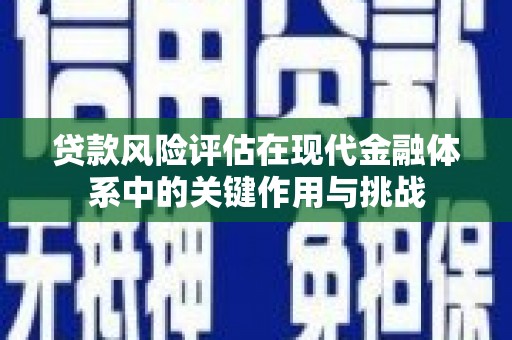 盐津贷款风险评估在现代金融体系中的关键作用与挑战