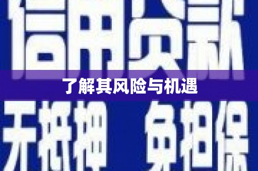 盐津了解其风险与机遇