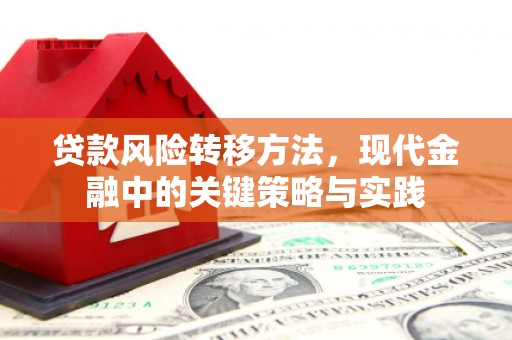盐津贷款风险转移方法，现代金融中的关键策略与实践