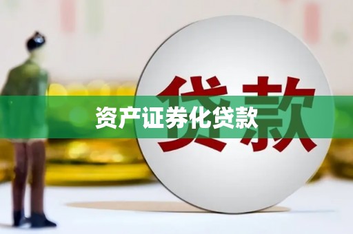 盐津资产证券化贷款