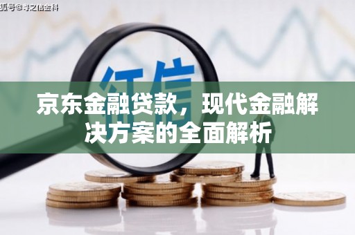 盐津京东金融贷款，现代金融解决方案的全面解析