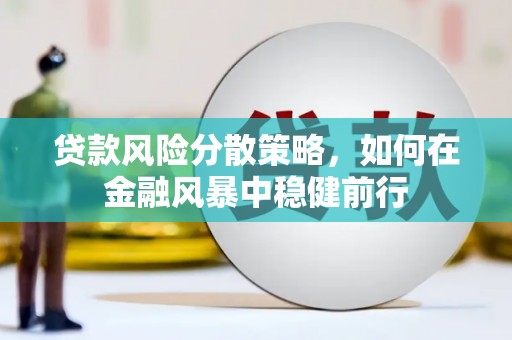盐津贷款风险分散策略，如何在金融风暴中稳健前行