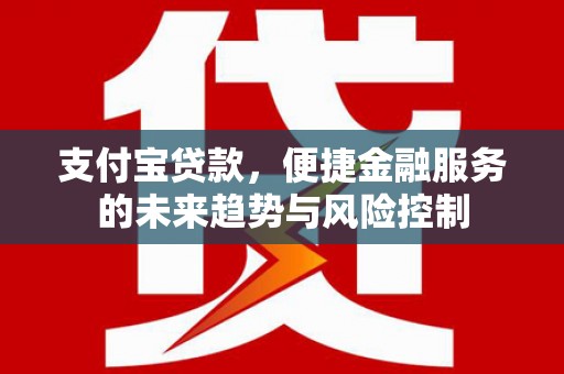 盐津支付宝贷款，便捷金融服务的未来趋势与风险控制